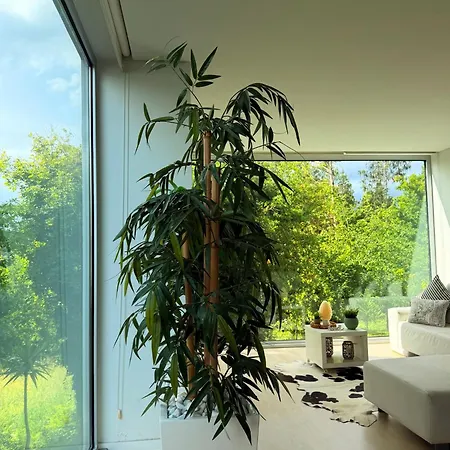 Ednas Place - Tranquilidade E Natureza Prázdninový dům Caminha